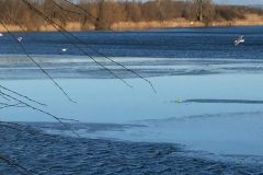 IMG_3357-scaled-e1641120563122